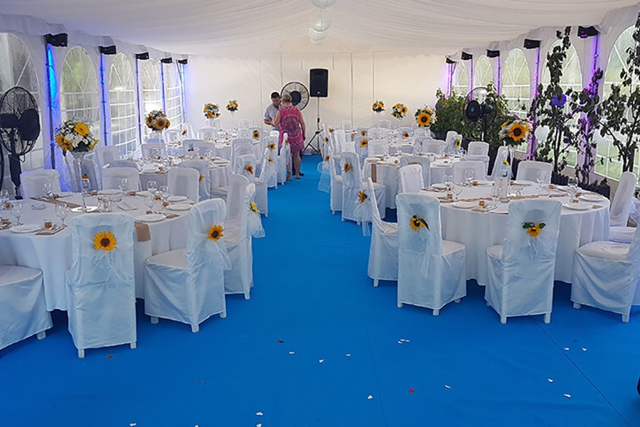 Stolice sa belim navlakama